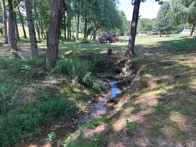 Brick Ranch on 5+/- acres in Alexander County NC - image 5