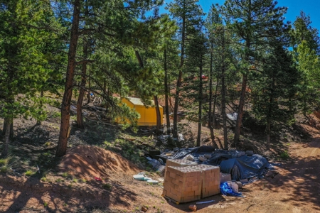 Colorado Mountain Property With Small Cabin & Well - image 23