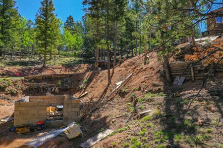 Colorado Mountain Property With Small Cabin & Well - image 21