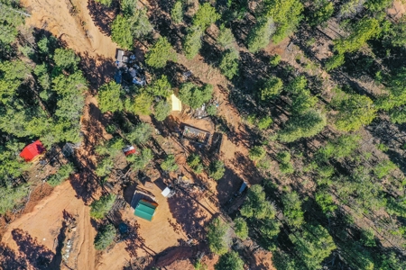 Colorado Mountain Property With Small Cabin & Well - image 35