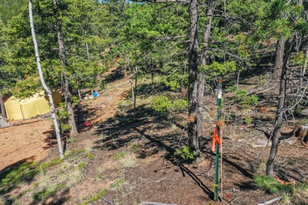 Colorado Mountain Property With Small Cabin & Well - image 34