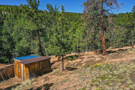 Colorado Mountain Property With Small Cabin & Well - image 27