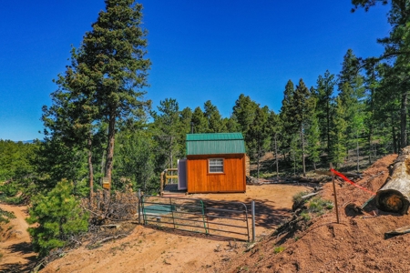 Colorado Mountain Property With Small Cabin & Well - image 3