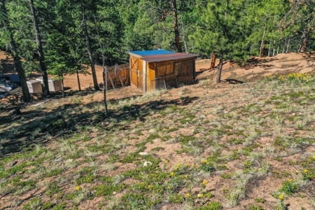 Colorado Mountain Property With Small Cabin & Well - image 26