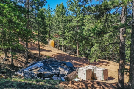 Colorado Mountain Property With Small Cabin & Well - image 24