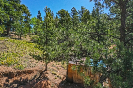 Colorado Mountain Property With Small Cabin & Well - image 28
