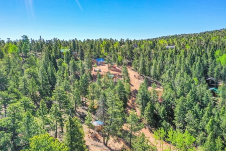 Colorado Mountain Property With Small Cabin & Well - image 2