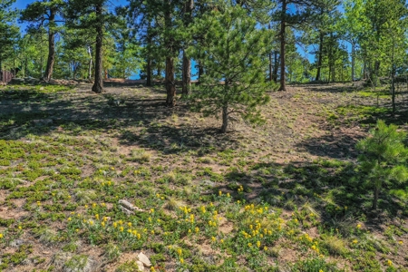 Colorado Mountain Property With Small Cabin & Well - image 30