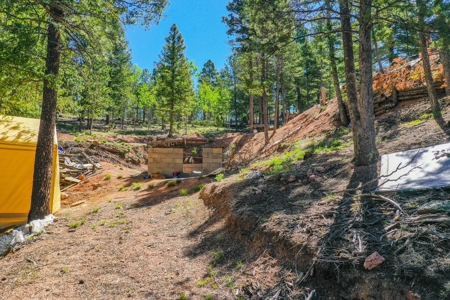 Colorado Mountain Property With Small Cabin & Well - image 22
