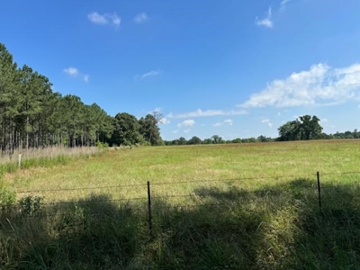 Equine Property Located in Morris County Texas - image 7