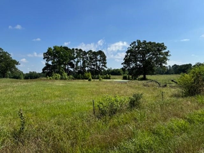 Equine Property Located in Morris County Texas - image 6