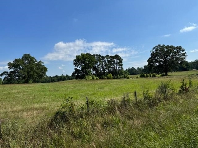 Equine Property Located in Morris County Texas - image 9