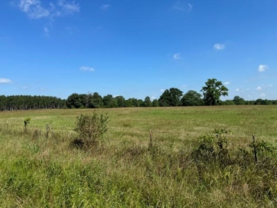 Equine Property Located in Morris County Texas - image 10