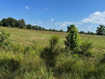 Equine Property Located in Morris County Texas - image 8