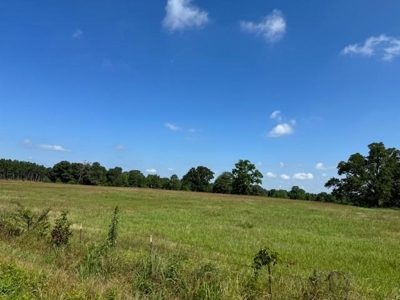 Equine Property Located in Morris County Texas - image 4