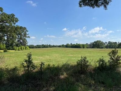 Equine Property Located in Morris County Texas - image 1