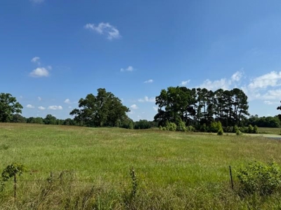 Equine Property Located in Morris County Texas - image 5
