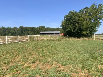 Ranch On Large Acreage For Sale In Klondike, Texas - image 5