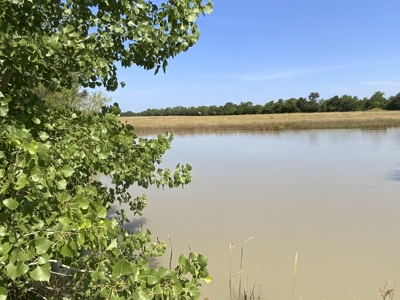 Ranch On Large Acreage For Sale In Klondike, Texas - image 31