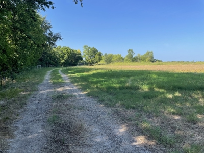 Ranch On Large Acreage For Sale In Klondike, Texas - image 33