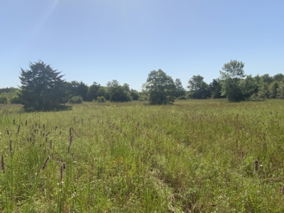 Ranch On Large Acreage For Sale In Klondike, Texas - image 28