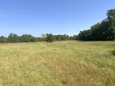 Ranch On Large Acreage For Sale In Klondike, Texas - image 27