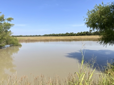 Ranch On Large Acreage For Sale In Klondike, Texas - image 29