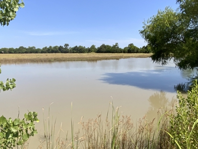 Ranch On Large Acreage For Sale In Klondike, Texas - image 30