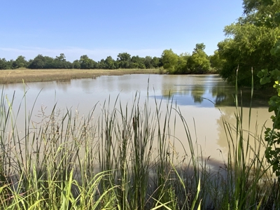 Ranch On Large Acreage For Sale In Klondike, Texas - image 32