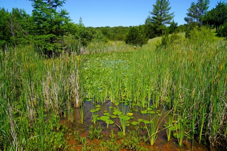 Auction Tr 1 of 2 = 5 Ac +/- Rustic Cabin Arcadia, OK - image 37