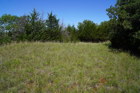 Auction Tr. 2 of 2 = 5 Ac +/- Arcadia, OK - image 3