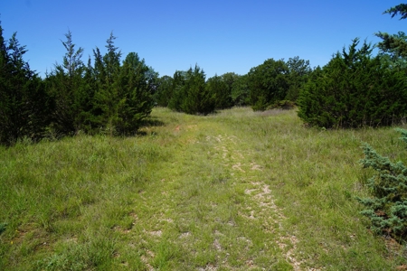Auction Tr. 2 of 2 = 5 Ac +/- Arcadia, OK - image 1