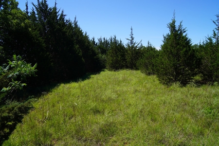 Auction Tr. 2 of 2 = 5 Ac +/- Arcadia, OK - image 2