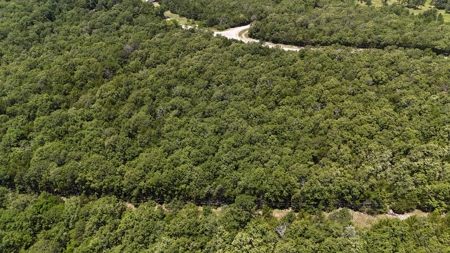 30 Acre Hunting and Recreational Property near Red Oak, OK - image 6