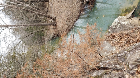 30 Acre Hunting and Recreational Property near Red Oak, OK - image 14