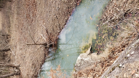 30 Acre Hunting and Recreational Property near Red Oak, OK - image 15