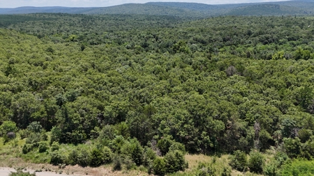 30 Acre Hunting and Recreational Property near Red Oak, OK - image 8