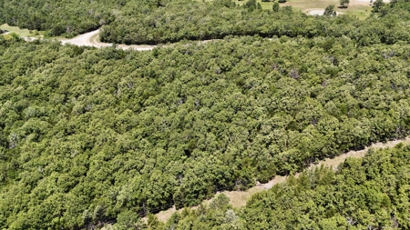 30 Acre Hunting and Recreational Property near Red Oak, OK - image 7
