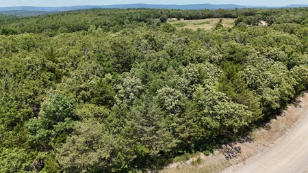 30 Acre Hunting and Recreational Property near Red Oak, OK - image 11