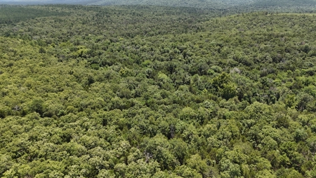 30 Acre Hunting and Recreational Property near Red Oak, OK - image 9