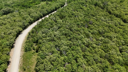 30 Acre Hunting and Recreational Property near Red Oak, OK - image 10