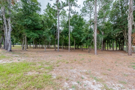 Equestrian Property And Home For Sale In Suwannee County !! - image 40