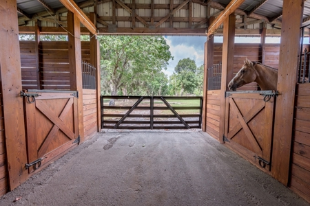 Equestrian Property And Home For Sale In Suwannee County !! - image 49