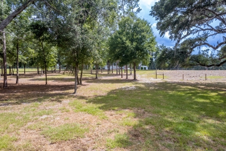 Equestrian Property And Home For Sale In Suwannee County !! - image 48