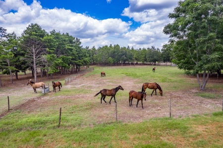 Equestrian Property And Home For Sale In Suwannee County !! - image 37