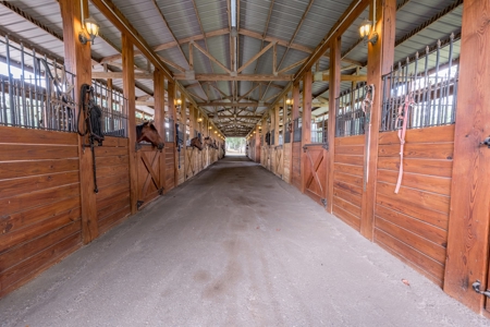 Equestrian Property And Home For Sale In Suwannee County !! - image 4