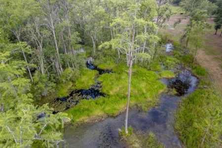 Equestrian Property And Home For Sale In Suwannee County !! - image 41