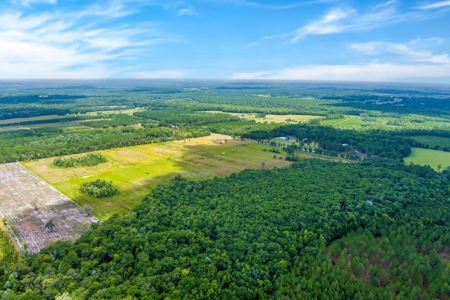 Land For Sale In Bradford County !! - image 2