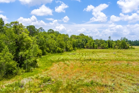 Land For Sale In Bradford County !! - image 12