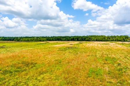 Land For Sale In Bradford County !! - image 11